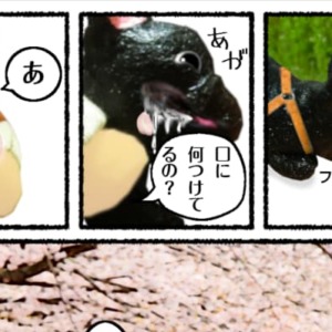 フレブル漫画