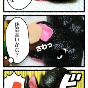 Thumbnail of post image 047