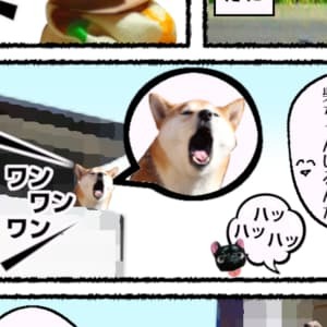 Thumbnail of post image 047